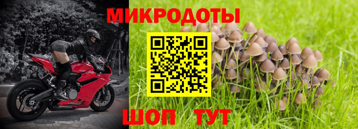 Псилоцибиновые грибы GOLDEN TEACHER Лесосибирск