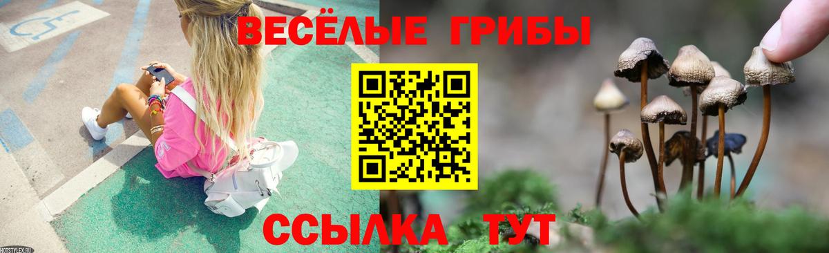 Галлюциногенные грибы Magic Shrooms  Вход с VPN  Псилоцибиновые грибы GOLDEN TEACHER  Лесосибирск 