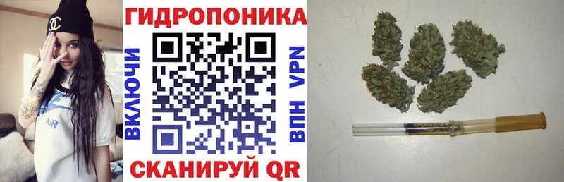 что такое наркотик  Лесосибирск  Шишки марихуана Ganja 
